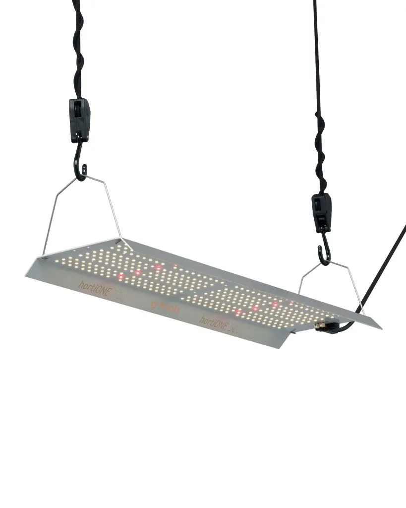 hortione led kweeklamp kopen